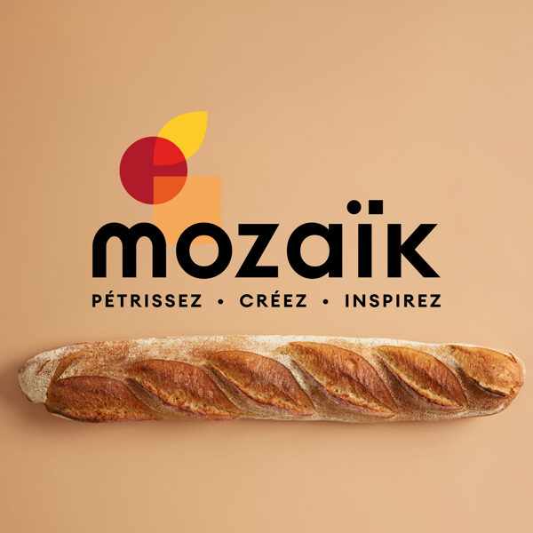 Charte graphique - Mozaïk